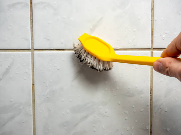 Best Home Mold Removal  in Waldo, FL