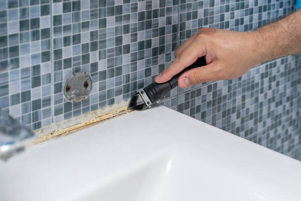 Best Mold Remediation  in Waldo, FL